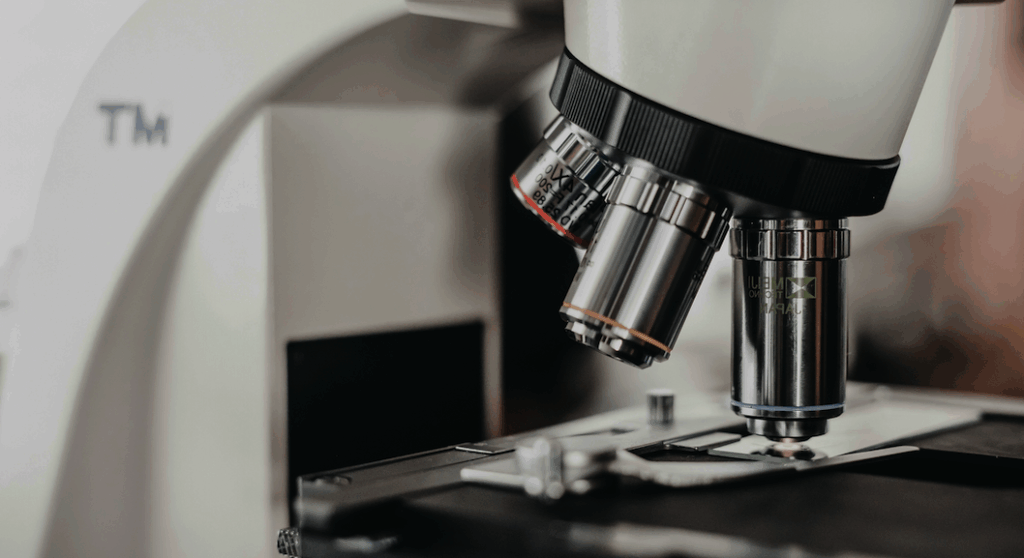 Breakthrough Research Offers Hope for New AVM Treatments
